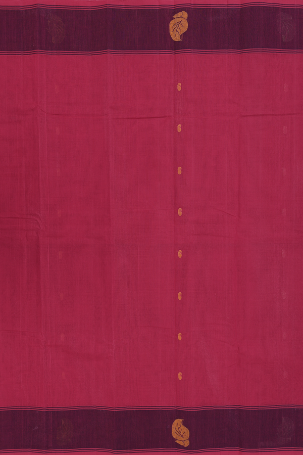 Kanchi Cotton Saree In Rose Red With Paisley Buttas