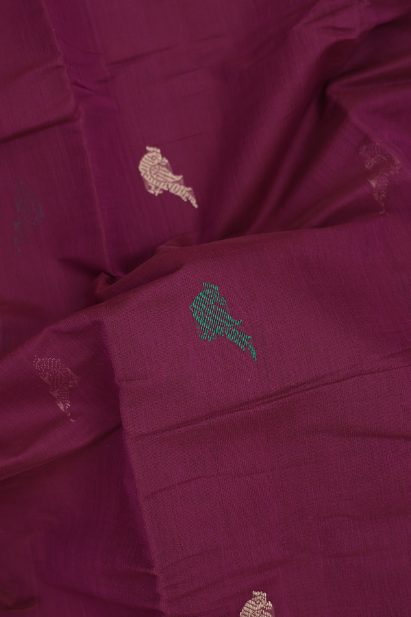 Kanchi Cotton Saree In Plum Purple With Parrot Buttas