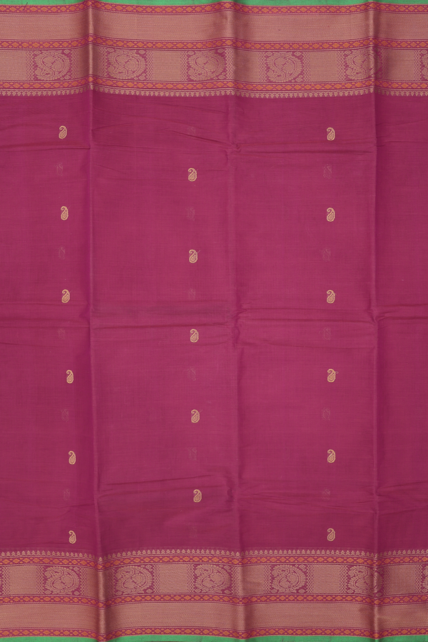 Coimbatore Cotton Saree In Berry Purple With Paisley Buttas