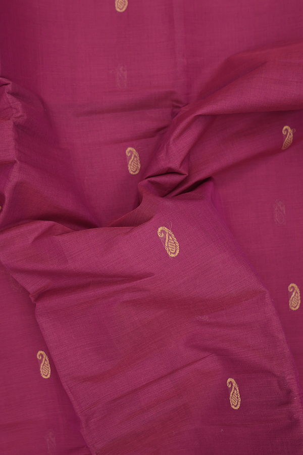 Coimbatore Cotton Saree In Berry Purple With Paisley Buttas