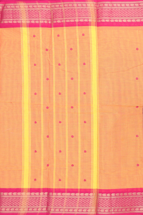 Kanchi Cotton Saree In Dual Tone With Threadwork Buttas