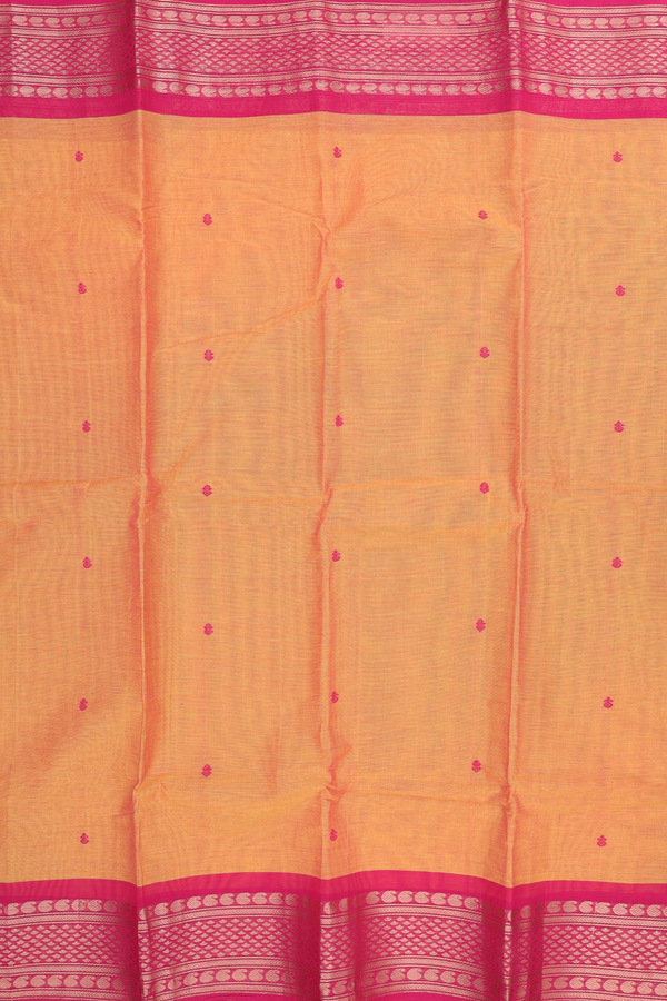 Kanchi Cotton Saree In Dual Tone With Threadwork Buttas