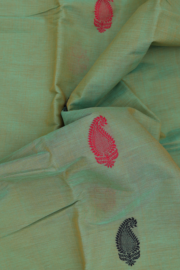Kanchi Cotton Saree In Green With Paisley Buttas