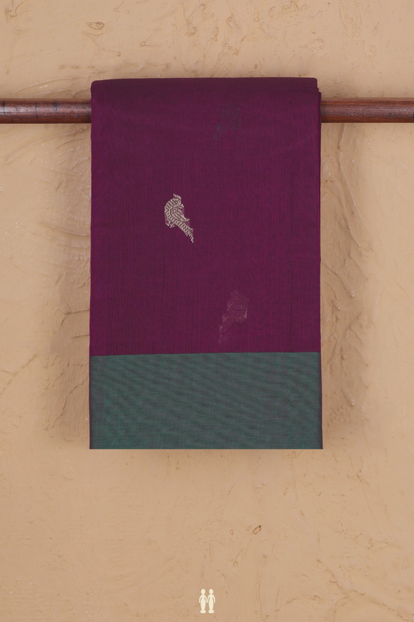 Kanchi Cotton Saree In Purple With Parrot Buttas