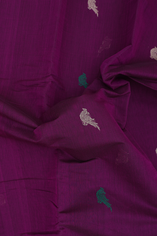 Kanchi Cotton Saree In Purple With Parrot Buttas