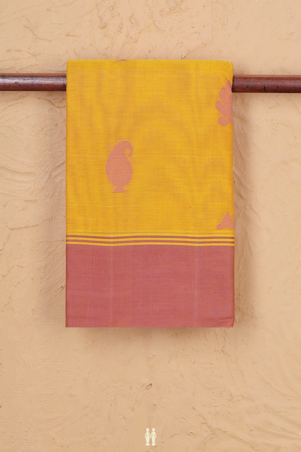 Kanchi Cotton Saree In Honey Yellow With Paisley Buttas