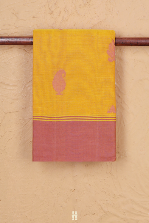 Kanchi Cotton Saree In Honey Yellow With Paisley Buttas