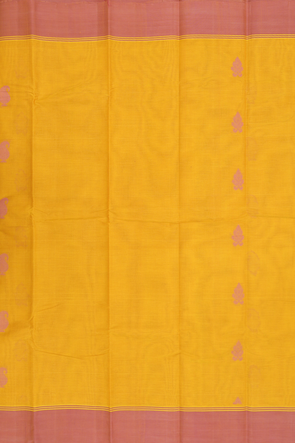 Kanchi Cotton Saree In Honey Yellow With Paisley Buttas