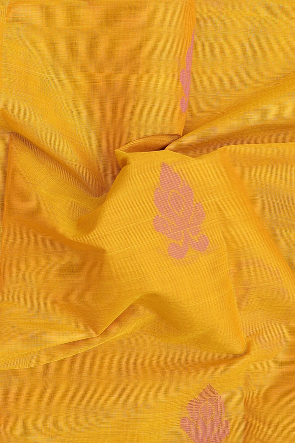 Kanchi Cotton Saree In Honey Yellow With Paisley Buttas