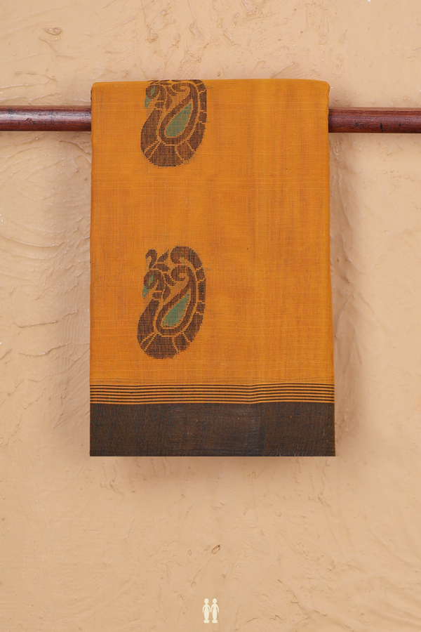 Kanchi Cotton Saree In Brown And Yellow With Paisley Motifs
