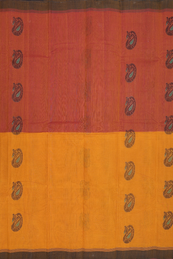 Kanchi Cotton Saree In Brown And Yellow With Paisley Motifs