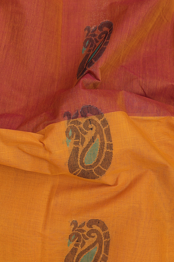 Kanchi Cotton Saree In Brown And Yellow With Paisley Motifs