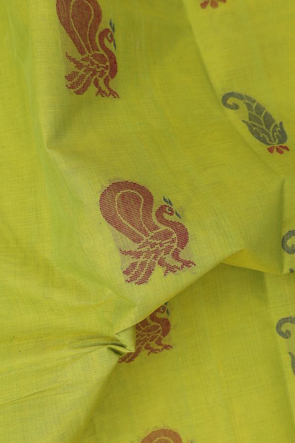 Kanchi Cotton Saree In Pear Green With Peacock Motifs