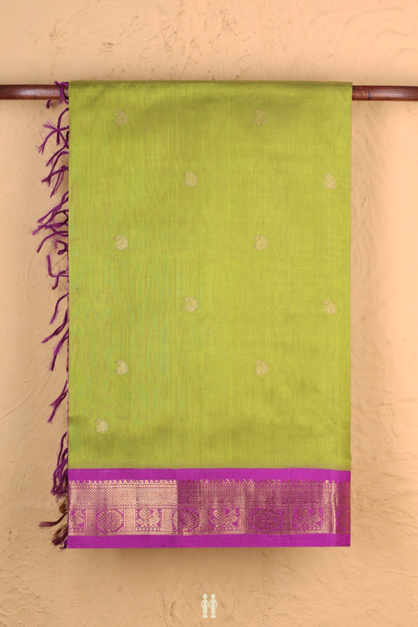 Silk Cotton Saree In Pear Green With Paisley Buttas