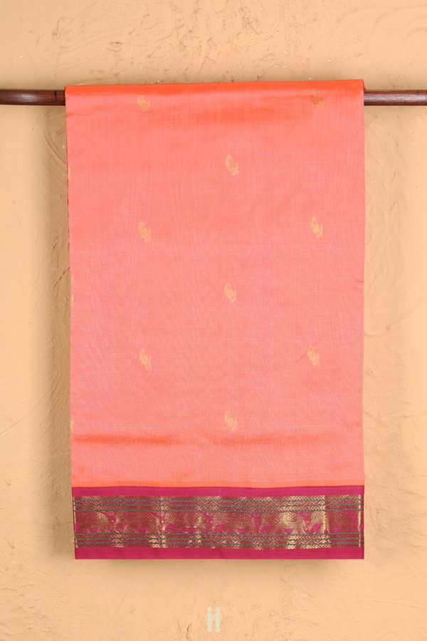 Silk Cotton Saree In Coral Pink With Paisley Buttas