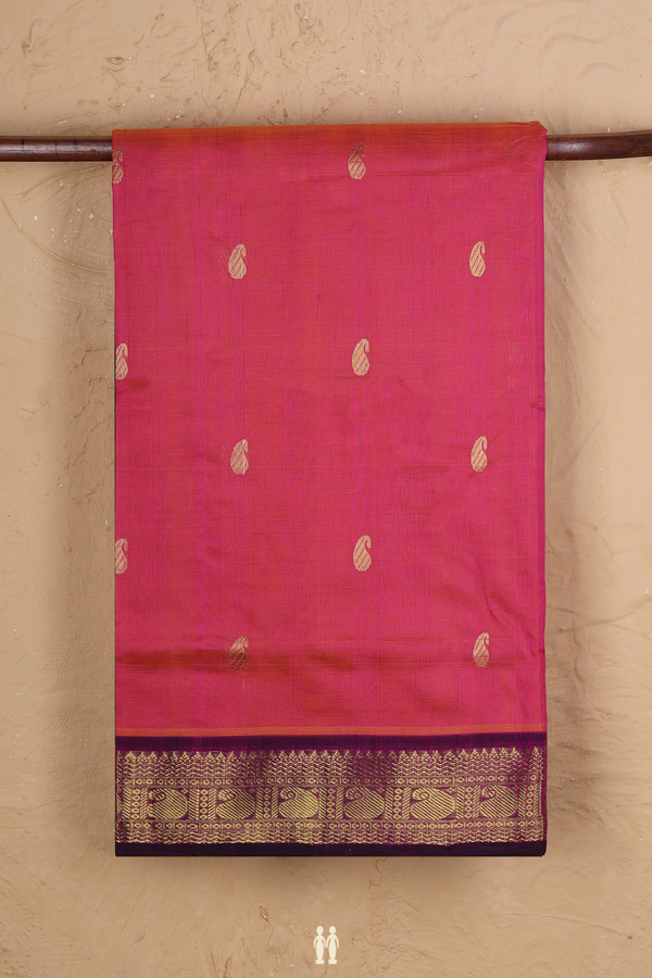 Traditional Silk Cotton Saree In Pink With Paisley Buttas