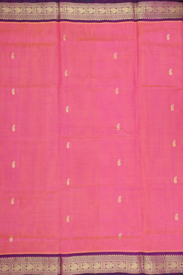 Traditional Silk Cotton Saree In Pink With Paisley Buttas