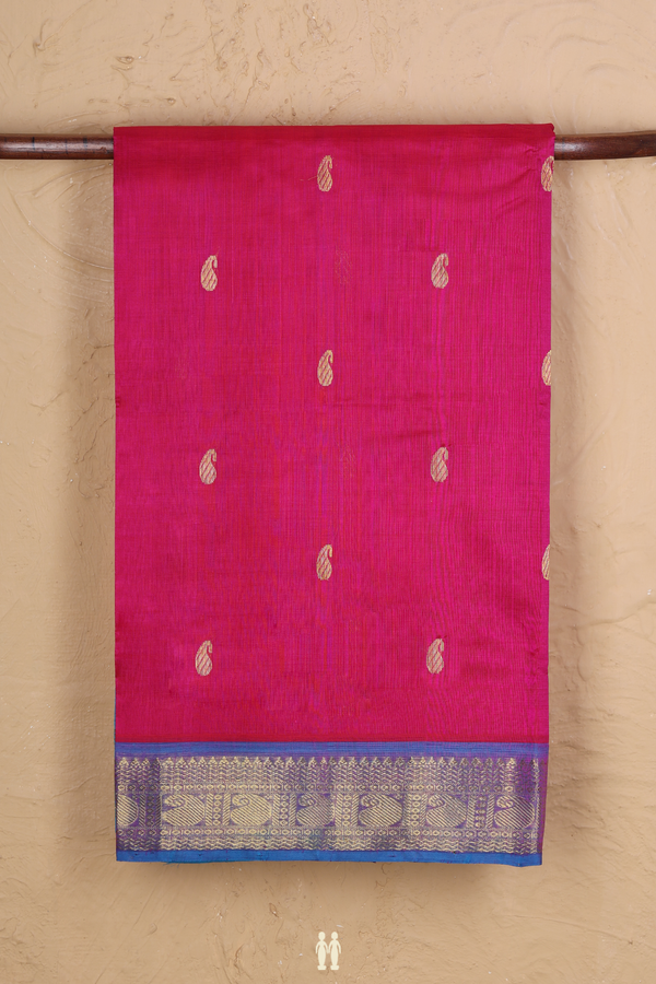Traditional Silk Cotton Saree In Pink With Paisley Buttas