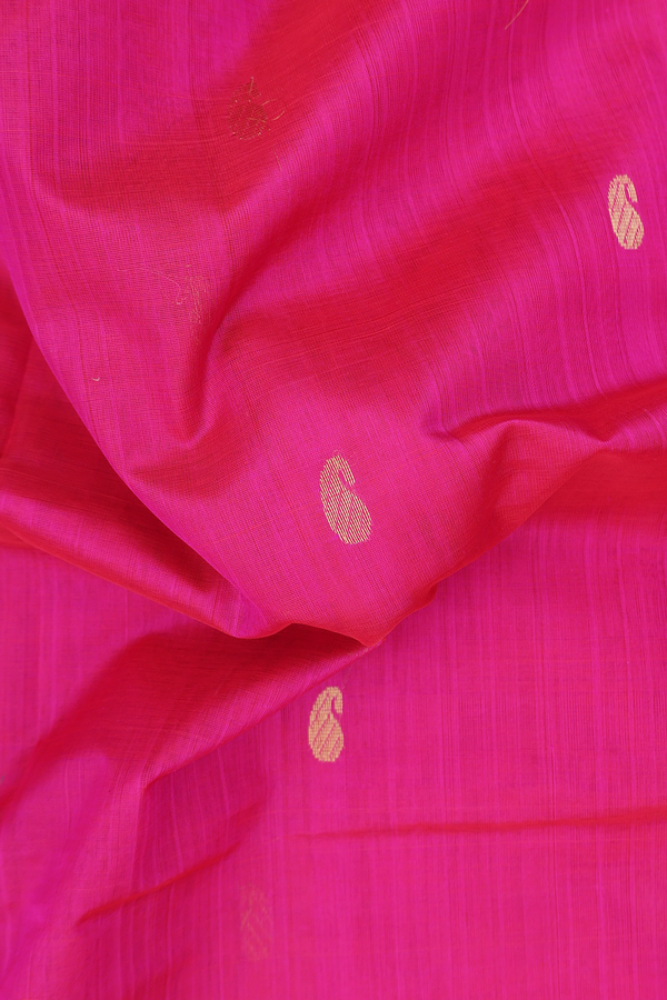 Traditional Silk Cotton Saree In Pink With Paisley Buttas