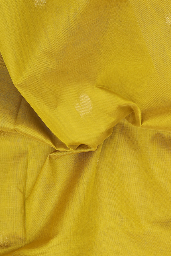 Silk Cotton Saree In Olive Yellow With Paisley Buttis