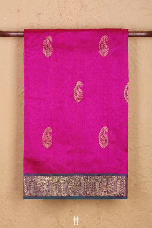 Silk Cotton Saree In Magenta With Paisley Motifs