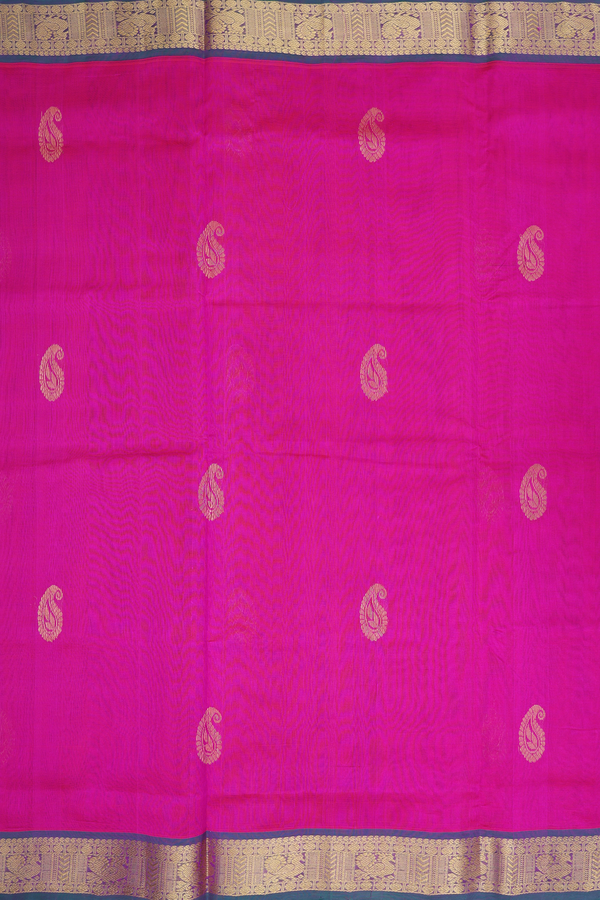 Silk Cotton Saree In Magenta With Paisley Motifs