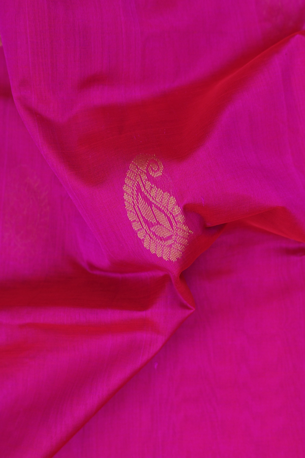 Silk Cotton Saree In Magenta With Paisley Motifs