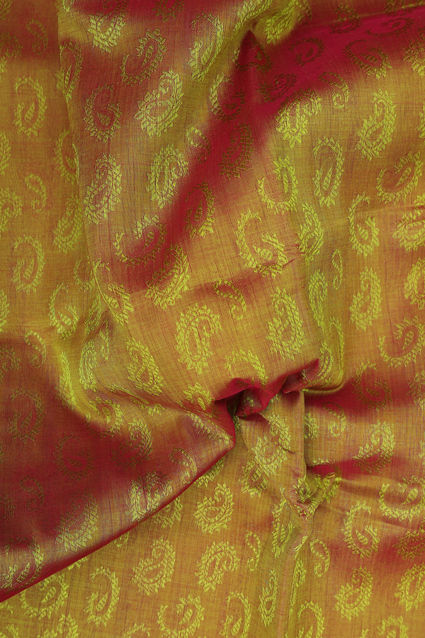 Silk Cotton Saree In Dual Tone With Paisley Design