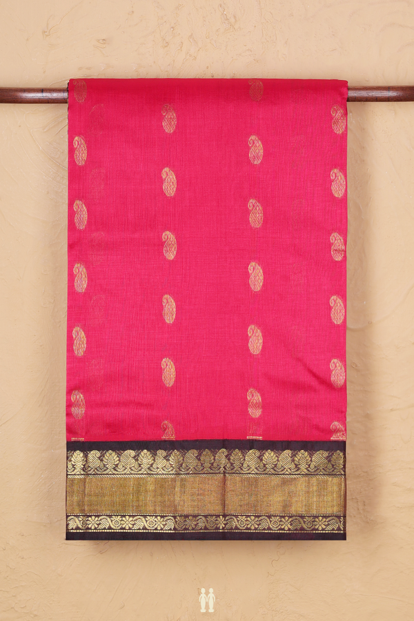 Silk Cotton Saree In Rani Pink With Paisley Buttas