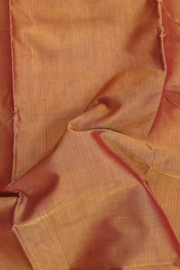 Nine Yards Cotton Saree In Brown With Contrast Border
