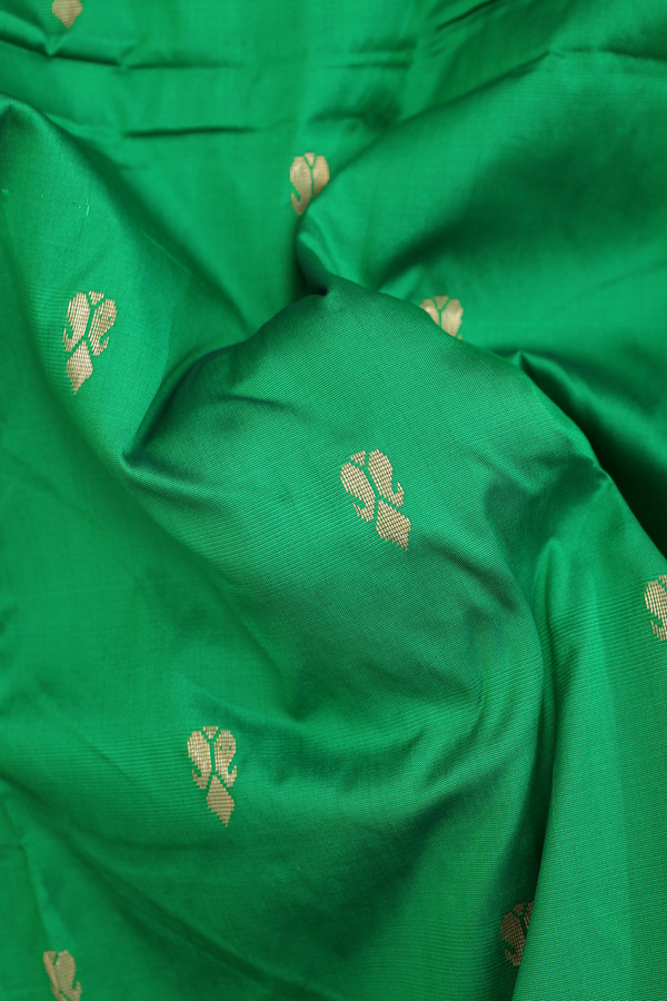 Nine Yards Apoorva Cotton Saree Green With Paisley Buttas