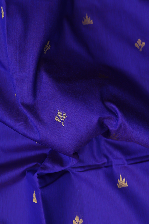 Nine Yards Apoorva Cotton In Royal Blue With Zari Buttas