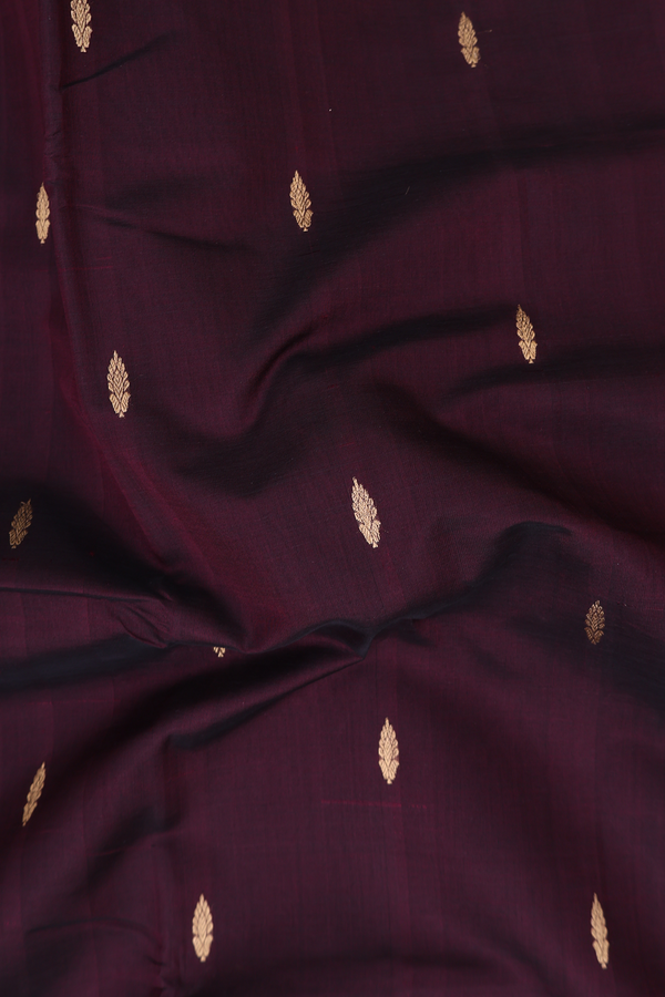 Nine Yards Silk Cotton Saree In Coffee Brown With Zari Buttas