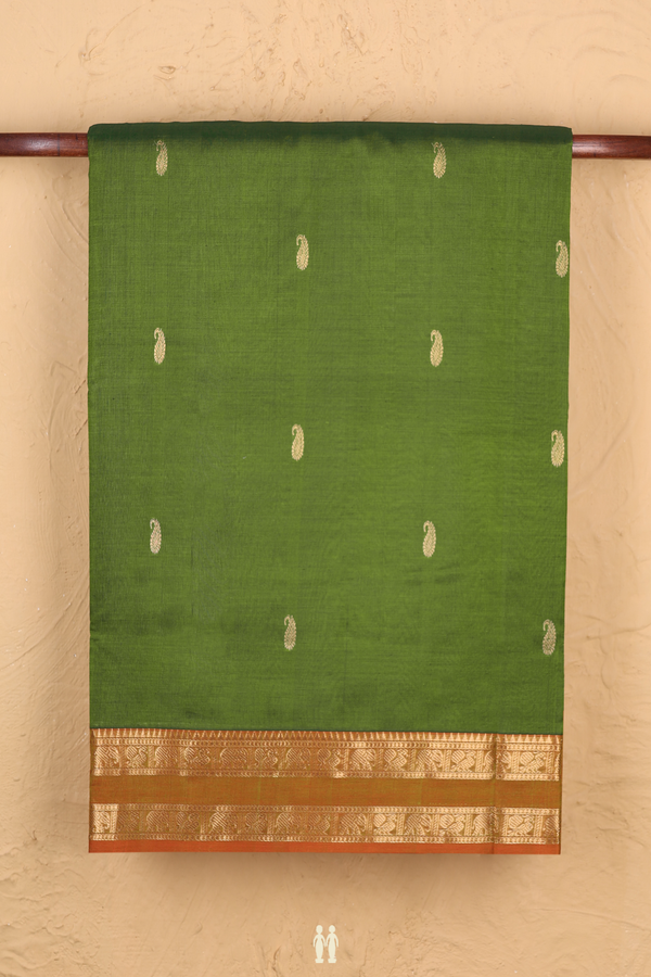 Nine Yards Silk Cotton Saree In Green With Paisley Buttas