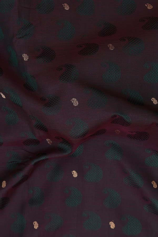 Nine Yards Silk Cotton Saree In Dual Tone With Paisley Buttas