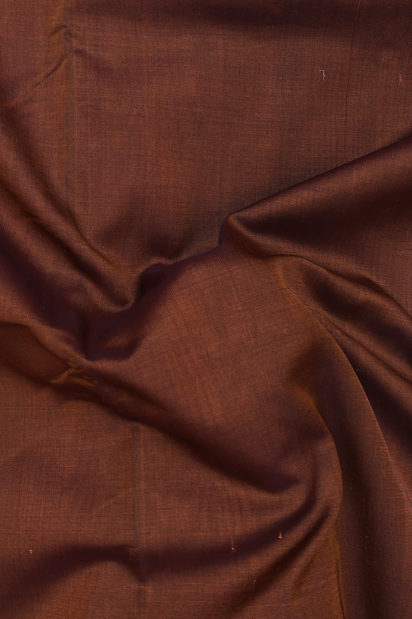 Nine Yards Silk Cotton Saree In Brown With Contrast Border
