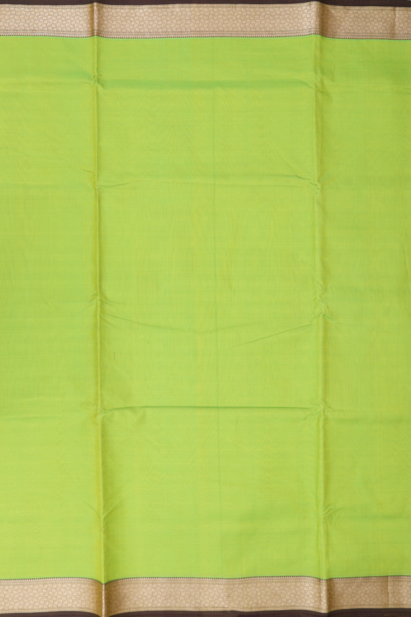 Nine Yards Silk Cotton Saree In Parrot Green With Zari Border