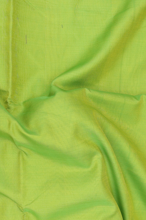 Nine Yards Silk Cotton Saree In Parrot Green With Zari Border