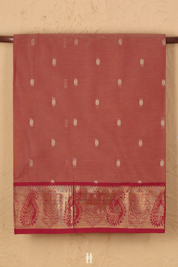 Venkatagiri Cotton Saree In Dusty Red With Zari Buttas