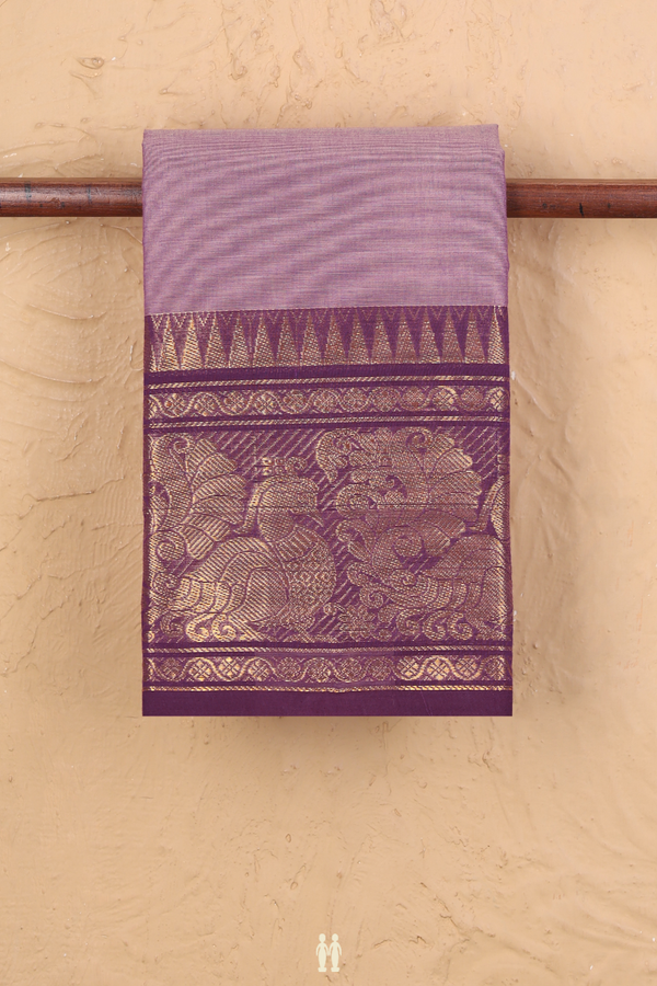 Kanchi Cotton Saree In Dusty Lavender With Zari Border
