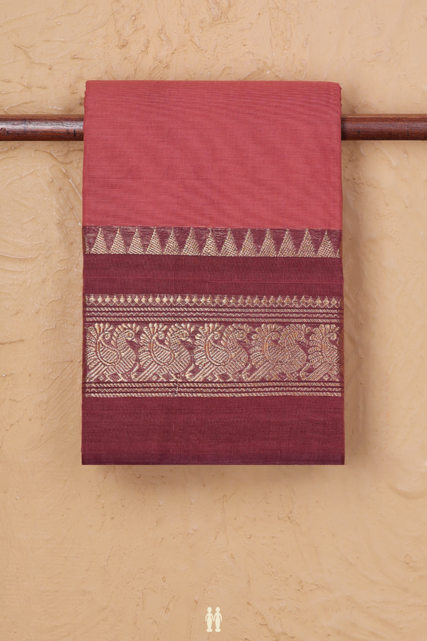 Chettinadu Cotton Saree In Dusty Orange With Peacock Border