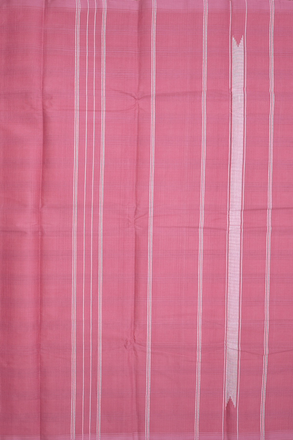 Chettinadu Cotton Saree In White With Checks Design