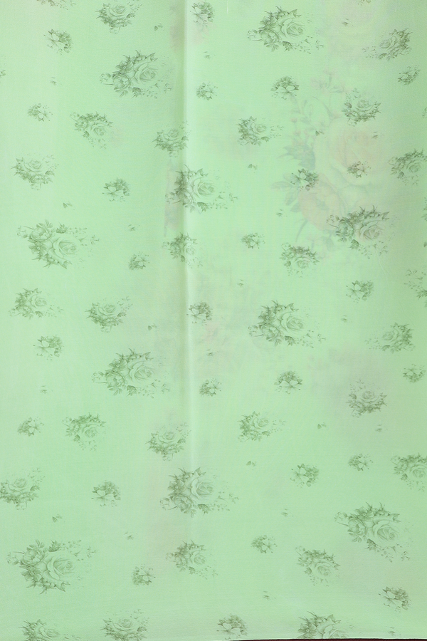 Chiffon Saree In Green With Floral Printed Design