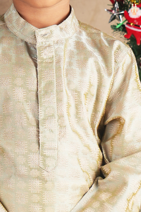 Chinese Collar Threadwork Sage Green Semi Banaras Long Kurta