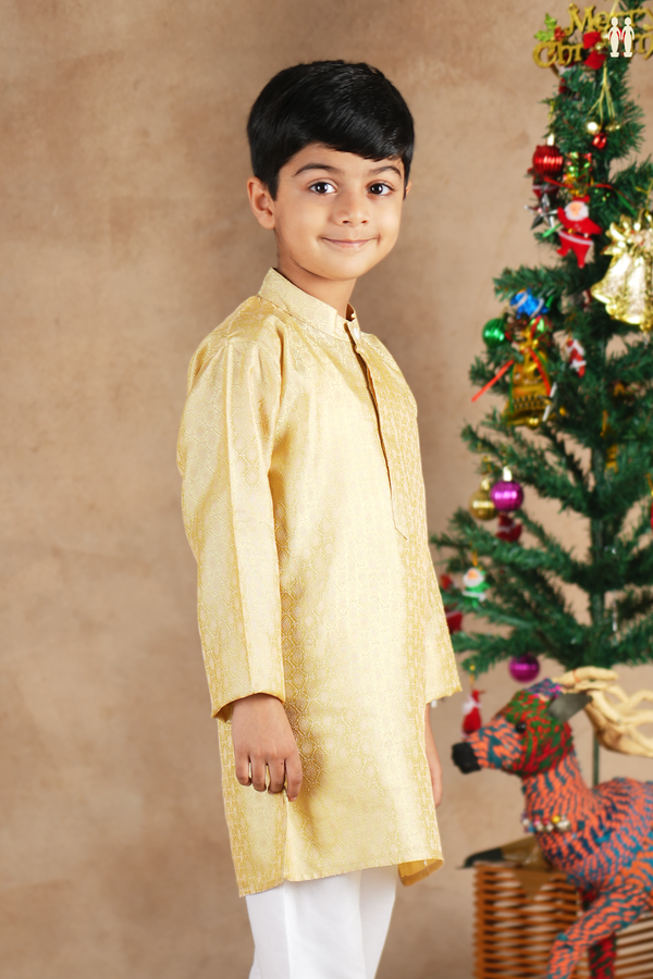 Chinese Collar Threadwork Yellow Semi Banaras Long Kurta