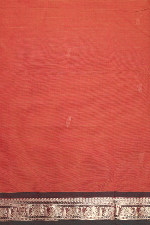 Coimbatore Cotton Saree In Burnt Orange With Zari Buttas