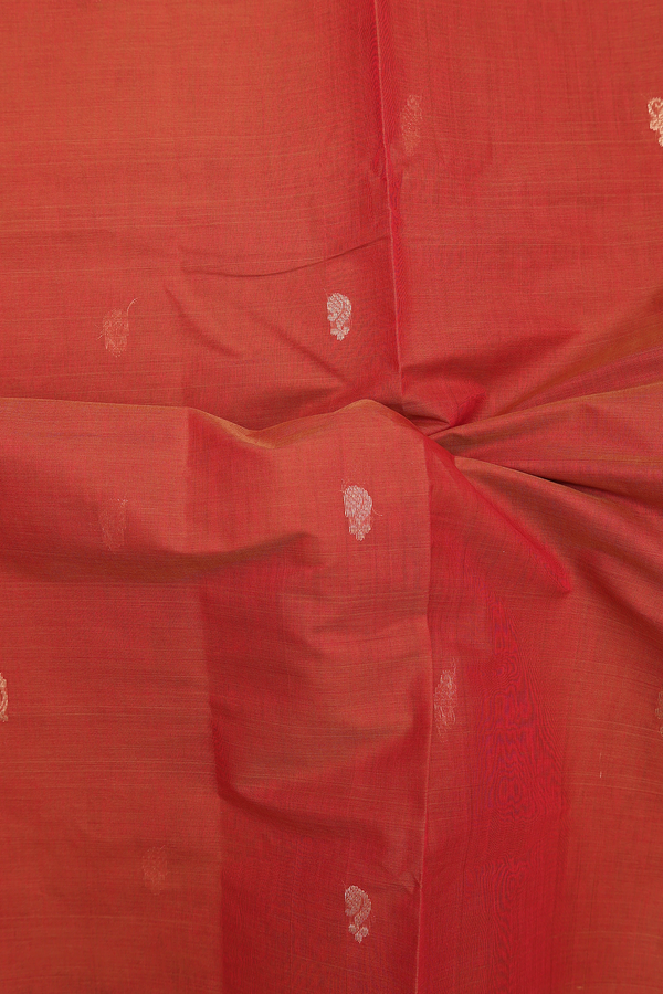Coimbatore Cotton Saree In Burnt Orange With Zari Buttas