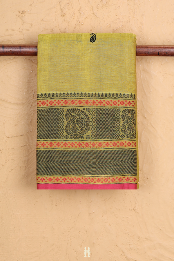 Coimbatore Cotton Saree In Olive Yellow With Paisley Buttas