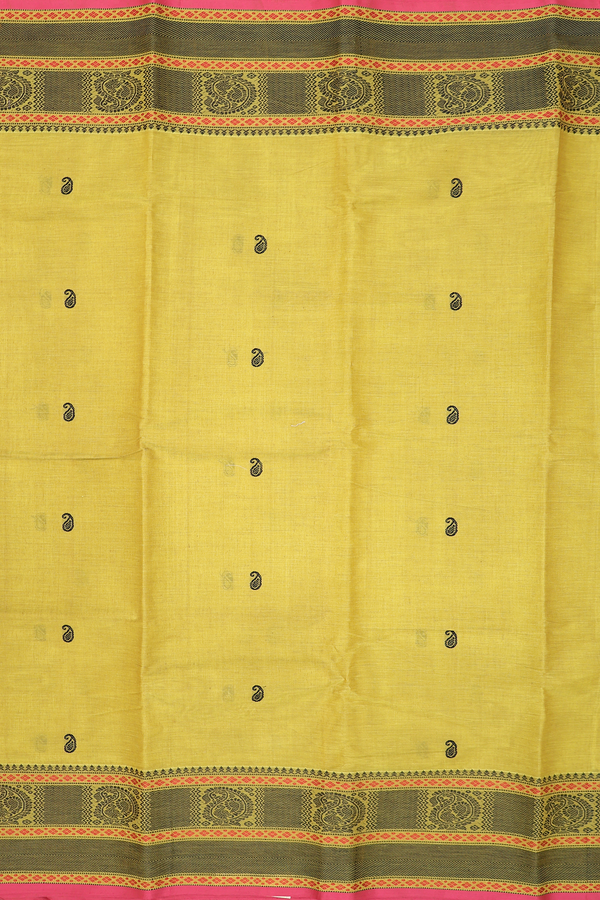 Coimbatore Cotton Saree In Olive Yellow With Paisley Buttas