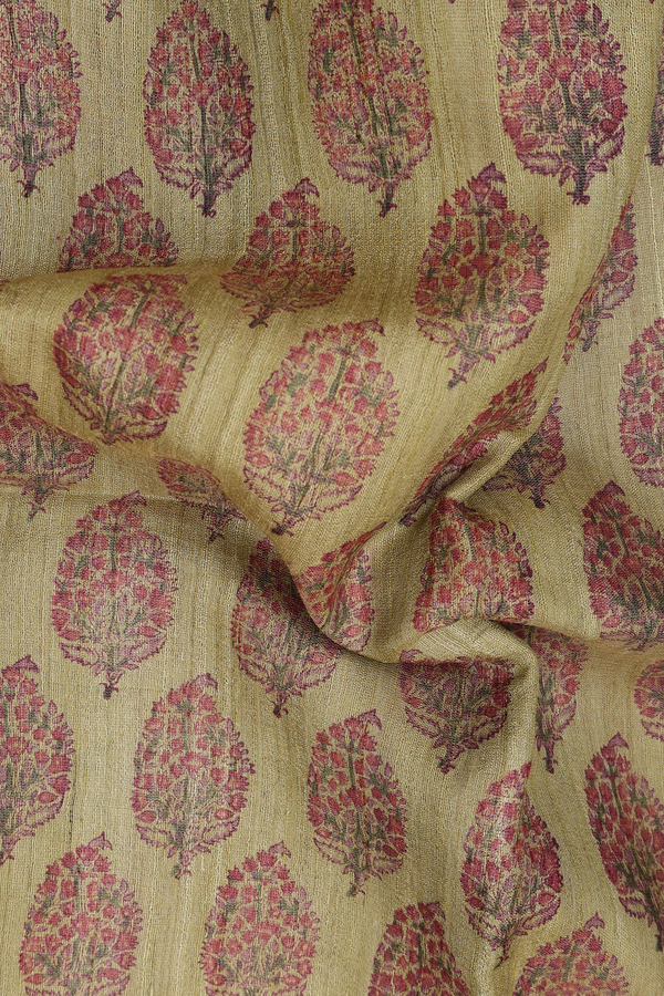 Tussar Silk Saree In Pear Green With Paisley Motifs